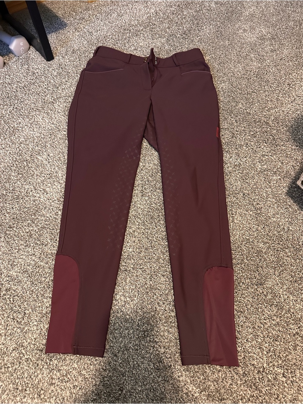 Women’s Le Mieux Purple Full Seat Riding Breeches - Like new!